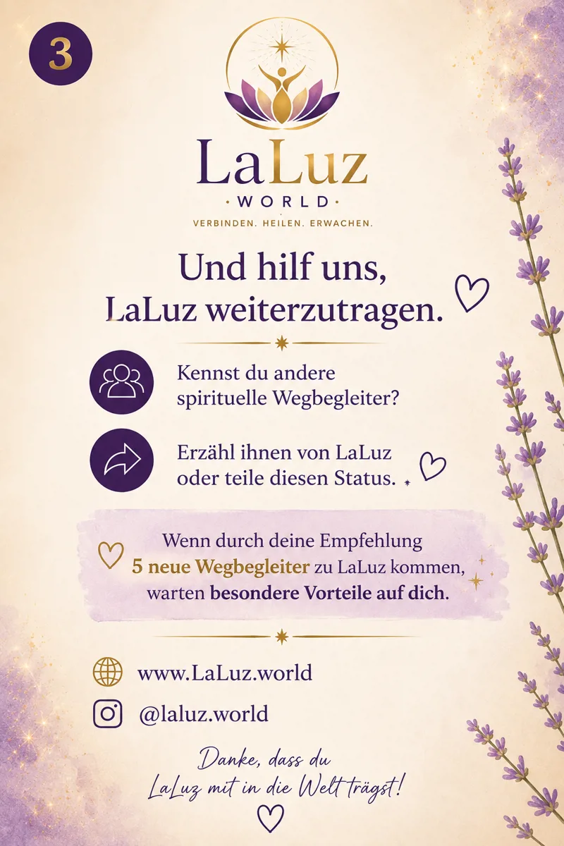 LaLuz.world – Eindruck